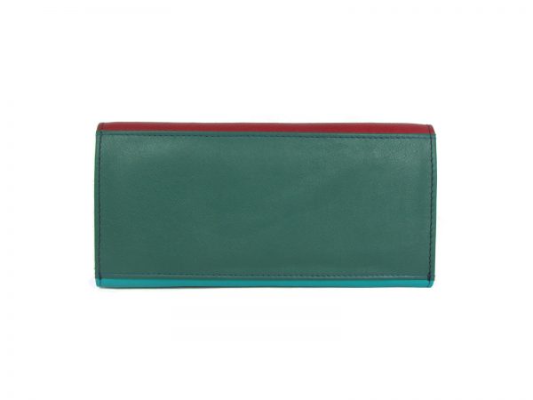 Flap Ladies Leather Multi Colour Purse-dw10 back