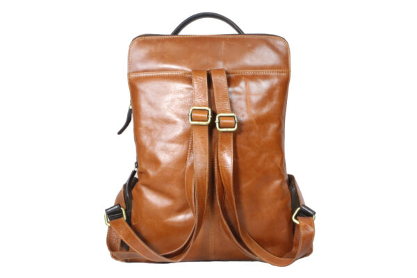 Tan Brown Backpack backside